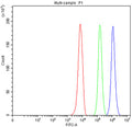 Flow cytometry testing of fixed human U937 cells with CD11b antibody at 1ug/million cells (blocked with goat sera); Red=cells alone, Green=isotype control, Blue=CD11b antibody.