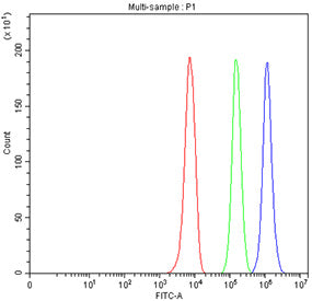 Flow cytometry testing of fixed human U937 cells with CD11b antibody at 1ug/million cells (blocked with goat sera); Red=cells alone, Green=isotype control, Blue=CD11b antibody.