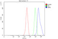 Flow Cytometry analysis of MCF-7 cells using anti-UBR5 antibody. Overlay histogram showing MCF-7 cells stained with (Blue line). To facilitate intracellular staining, cells were fixed with 4% paraformaldehyde and permeabilized with permeabilization buffer. The cells were blocked with 10% normal goat serum. And then incubated with rabbit anti-UBR5 antibody (1 ug/million cells) for 30 min at 20oC.