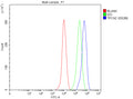 Flow Cytometry analysis of THP-1 cells using anti-TPCN2 antibody. Overlay histogram showing THP-1 cells stained with (Blue line). The cells were fixed with 4% paraformaldehyde and blocked with 10% normal goat serum. And then incubated with rabbit anti-TPCN2 antibody (1 ug/million cells) for 30 min at 20oC. DyLight 488 conjugated goat anti-rabbit IgG (5-10 ug/million cells) was used as secondary antibody for 30 min at 20oC.