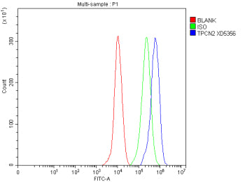 Flow Cytometry analysis of THP-1 cells using anti-TPCN2 antibody. Overlay histogram showing THP-1 cells stained with (Blue line). The cells were fixed with 4% paraformaldehyde and blocked with 10% normal goat serum. And then incubated with rabbit anti-TPCN2 antibody (1 ug/million cells) for 30 min at 20oC. DyLight 488 conjugated goat anti-rabbit IgG (5-10 ug/million cells) was used as secondary antibody for 30 min at 20oC.