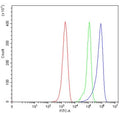 Flow cytometry testing of mouse ANA-1 cells with Mavs antibody at 1ug/million cells (blocked with goat sera); Red=cells alone, Green=isotype control, Blue= Mavs antibody.