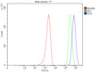 Flow Cytometry analysis of MCF-7 cells using anti-RYK antibody. Overlay histogram showing MCF-7 cells stained with (Blue line). To facilitate intracellular staining, cells were fixed with 4% paraformaldehyde and permeabilized with permeabilization buffer. The cells were blocked with 10% normal goat serum. And then incubated with rabbit anti-RYK antibody (1 ug/million cells) for 30 min at 20oC.