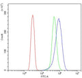 Flow cytometry testing of human SiHa cells with SOCS3 antibody at 1ug/million cells (blocked with goat sera); Red=cells alone, Green=isotype control, Blue= SOCS3 antibody.