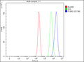 Flow Cytometry analysis of cells using anti-PUM3 antibody. Overlay histogram showing cells stained with (Blue line). To facilitate intracellular staining, cells were fixed with 4% paraformaldehyde and permeabilized with permeabilization buffer. The cells were blocked with 10% normal goat serum. And then incubated with rabbit anti-PUM3 antibody (1 ug/million cells) for 30 min at 20oC. DyLight 488 conjugated goat anti-rabbit IgG (5-10 ug/million cells) was used as secondary antibody for 30 min at 20oC.
