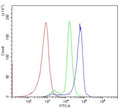 Flow cytometry testing of human PBM cells with CXCR2 antibody at 1ug/million cells (blocked with goat sera); Red=cells alone, Green=isotype control, Blue= CXCR2 antibody.
