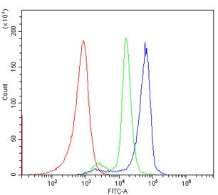 Flow cytometry testing of human PBM cells with CXCR2 antibody at 1ug/million cells (blocked with goat sera); Red=cells alone, Green=isotype control, Blue= CXCR2 antibody.