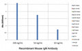 ELISA of mouse immunoglobulins shows the recombinant Mouse IgM antibody reacts to mIgM; no cross reactivity with IgG1, IgG2a, IgG2b, IgG3, IgA, IgE, human/rat/goat IgG.