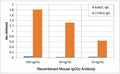 ELISA of IgG from BalB/C and C57BL6 shows the recombinant Mouse IgG2c antibody reacts to C57BL6 IgG containing IgG2c, and does not react to BalB/C IgG containing IgG2a.
