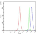 Flow cytometry testing of human JK cells with E2F5 antibody at 1ug/million cells (blocked with goat sera); Red=cells alone, Green=isotype control, Blue= E2F5 antibody.