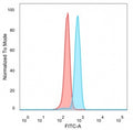Flow cytometry testing of PFA-fixed human HeLa cells with ZNF495 antibody (clone PCRP-ZSCAN5A-2H4) followed by goat anti-mouse IgG-CF488 (blue), Red = unstained cells.