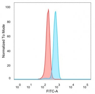 Flow cytometry testing of PFA-fixed human HeLa cells with ZNF495 antibody (clone PCRP-ZSCAN5A-2H4) followed by goat anti-mouse IgG-CF488 (blue), Red = unstained cells.