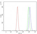Flow cytometry testing of human HEL cells with RBM11 antibody at 1ug/million cells (blocked with goat sera); Red=cells alone, Green=isotype control, Blue= RBM11 antibody.