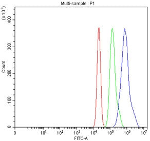 Flow cytometry testing of fixed and permeabilized human RT4 cells with FOXA1 antibody at 1ug/million cells (blocked with goat sera); Red=cells alone, Green=isotype control, Blue= FOXA1 antibody.