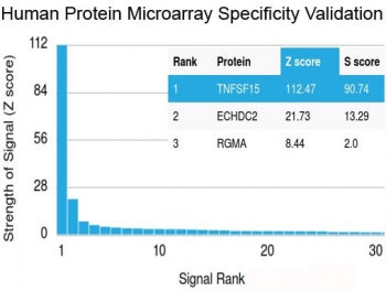 Analysis of HuProt(TM) microarray containing more than 19,000 full-length human proteins using BRCA-1 antibody (clone BRCA1/2973). These results demonstrate the foremost specificity of the BRCA1/2973 mAb. Z- and S- Score: The Z-score represents the strength of a signal that a monoclonal antibody (clone MAb) (in combination with a fluorescently-tagged anti-IgG secondary antibody) produces when binding to a particular protein on the HuProt(TM) array.