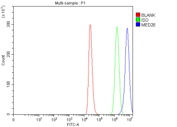 Flow Cytometry analysis of THP-1 cells using anti-MED28 antibody. Overlay histogram showing THP-1 cells stained with (Blue line). To facilitate intracellular staining, cells were fixed with 4% paraformaldehyde and permeabilized with permeabilization buffer. The cells were blocked with 10% normal goat serum. And then incubated with rabbit anti-MED28 antibody (1 ug/million cells) for 30 min at 20oC.