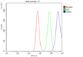 Flow Cytometry analysis of cells using anti-GBA2 antibody. Overlay histogram showing cells stained with (Blue line). To facilitate intracellular staining, cells were fixed with 4% paraformaldehyde and permeabilized with permeabilization buffer. The cells were blocked with 10% normal goat serum. And then incubated with rabbit anti-GBA2 antibody (1 ug/million cells) for 30 min at 20oC. DyLight 488 conjugated goat anti-rabbit IgG (5-10 ug/million cells) was used as secondary antibody for 30 min at 20oC.