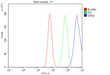 Flow Cytometry analysis of cells using anti-GBA2 antibody. Overlay histogram showing cells stained with (Blue line). To facilitate intracellular staining, cells were fixed with 4% paraformaldehyde and permeabilized with permeabilization buffer. The cells were blocked with 10% normal goat serum. And then incubated with rabbit anti-GBA2 antibody (1 ug/million cells) for 30 min at 20oC. DyLight 488 conjugated goat anti-rabbit IgG (5-10 ug/million cells) was used as secondary antibody for 30 min at 20oC.