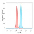 Flow cytometry testing of PFA-fixed human HeLa cells with SNAPC4 antibody (clone PCRP-SNAPC4-3A7) followed by goat anti-mouse IgG-CF488 (blue); Red = unstained cells.