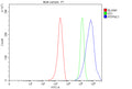 Flow Cytometry analysis of MCF-7 cells using anti-PITPNC1 antibody. Overlay histogram showing MCF-7 cells stained with (Blue line). To facilitate intracellular staining, cells were fixed with 4% paraformaldehyde and permeabilized with permeabilization buffer. The cells were blocked with 10% normal goat serum. And then incubated with rabbit anti-PITPNC1 antibody (1 ug/million cells) for 30 min at 20oC.