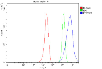 Flow Cytometry analysis of MCF-7 cells using anti-PITPNC1 antibody. Overlay histogram showing MCF-7 cells stained with (Blue line). To facilitate intracellular staining, cells were fixed with 4% paraformaldehyde and permeabilized with permeabilization buffer. The cells were blocked with 10% normal goat serum. And then incubated with rabbit anti-PITPNC1 antibody (1 ug/million cells) for 30 min at 20oC.