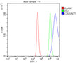 Flow Cytometry analysis of HEL cells using anti-COLGALT1 antibody. Overlay histogram showing HEL cells stained with (Blue line). To facilitate intracellular staining, cells were fixed with 4% paraformaldehyde and permeabilized with permeabilization buffer. The cells were blocked with 10% normal goat serum. And then incubated with rabbit anti-COLGALT1 antibody (1 ug/million cells) for 30 min at 20oC.
