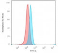 Flow cytometry testing of human Jurkat cells with CD3e antibody (clone C3e/2478); Red=isotype control, Blue= CD3e antibody.