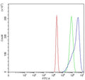 Flow cytometry testing of human U-2 OS cells with HMOX1 antibody at 1ug/million cells (blocked with goat sera); Red=cells alone, Green=isotype control, Blue= HMOX1 antibody.