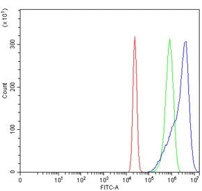Flow cytometry testing of human U-2 OS cells with HMOX1 antibody at 1ug/million cells (blocked with goat sera); Red=cells alone, Green=isotype control, Blue= HMOX1 antibody.