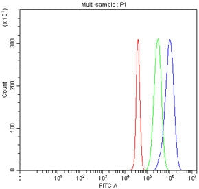 Flow cytometry testing of fixed human JK cells with PCDHGC3 antibody at 1ug/million cells (blocked with goat sera); Red=cells alone, Green=isotype control, Blue= PCDHGC3 antibody.