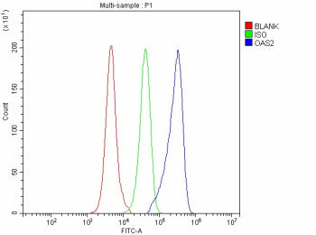 Flow Cytometry analysis of mouse RAW264.7 cells using anti-Oas2 antibody. Overlay histogram showing RAW264.7 cells stained with (Blue line). The cells were fixed with 4% paraformaldehyde and blocked with 10% normal goat serum. And then incubated with rabbit anti-OAS2 antibody (1 ug/million cells) for 30 min at 20oC. DyLight 488 conjugated goat anti-rabbit IgG (5-10 ug/million cells) was used as secondary antibody for 30 min at 20oC.