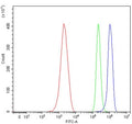 Flow cytometry testing of mouse ANA-1 cells with Ppp1r15a antibody at 1ug/million cells (blocked with goat sera); Red=cells alone, Green=isotype control, Blue= Ppp1r15a antibody.