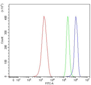 Flow cytometry testing of mouse ANA-1 cells with Ppp1r15a antibody at 1ug/million cells (blocked with goat sera); Red=cells alone, Green=isotype control, Blue= Ppp1r15a antibody.