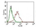 FACS testing of human MCF-7 cells: Black=cells alone; Green=isotype control; Red=<a href=../tds/estrogen-receptor-antibody-pe-conjugate-nr3ga-3-v7061pe>PE conjugated ER antibody</a>.