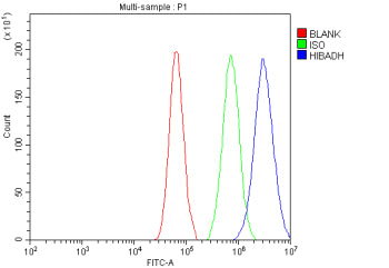 Flow Cytometry analysis of cells using anti-HIBADH antibody. Overlay histogram showing cells stained with (Blue line). To facilitate intracellular staining, cells were fixed with 4% paraformaldehyde and permeabilized with permeabilization buffer. The cells were blocked with 10% normal goat serum. And then incubated with rabbit anti-HIBADH antibody (1 ug/million cells) for 30 min at 20oC. DyLight 488 conjugated goat anti-rabbit IgG (5-10 ug/million cells) was used as secondary antibody for 30 min at 20oC.
