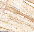 IHC staining of FFPE zebrafish muscle tissue with Psmb1 antibody, HRP-labeled secondary and DAB substrate. HIER: boil tissue sections in pH8 EDTA for 20 min and allow to cool before testing.
