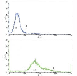 Flow cytometric analysis of HeLa cells using CD71 antibody (bottom histogram) compared to a negative control (top histogram). FITC-conjugated goat-anti-rabbit secondary Ab was used for the analysis.