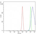 Flow cytometry testing of fixed and permeabilized human PC-3 cells with Carcinoembryonic Antigen antibody at 1ug/million cells (blocked with goat sera); Red=cells alone, Green=isotype control, Blue= Carcinoembryonic Antigen antibody.