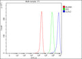 Flow Cytometry analysis of HepG2 cells using anti-LLGL2 antibody. Overlay histogram showing HepG2 cells stained with (Blue line). To facilitate intracellular staining, cells were fixed with 4% paraformaldehyde and permeabilized with permeabilization buffer. The cells were blocked with 10% normal goat serum. And then incubated with rabbit anti-LLGL2 antibody (1 ug/million cells) for 30 min at 20oC.