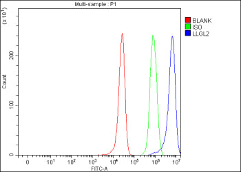 Flow Cytometry analysis of HepG2 cells using anti-LLGL2 antibody. Overlay histogram showing HepG2 cells stained with (Blue line). To facilitate intracellular staining, cells were fixed with 4% paraformaldehyde and permeabilized with permeabilization buffer. The cells were blocked with 10% normal goat serum. And then incubated with rabbit anti-LLGL2 antibody (1 ug/million cells) for 30 min at 20oC.