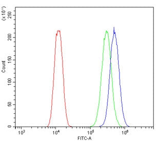 Flow cytometry testing of human U-2 OS cells with B7H4 antibody at 1ug/million cells (blocked with goat sera); Red=cells alone, Green=isotype control, Blue= B7H4 antibody.