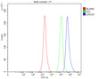 Flow Cytometry analysis of SH-SY5Y cells using anti-LRGUK antibody. Overlay histogram showing SH-SY5Y cells stained with (Blue line). To facilitate intracellular staining, cells were fixed with 4% paraformaldehyde and permeabilized with permeabilization buffer. The cells were blocked with 10% normal goat serum. And then incubated with rabbit anti-LRGUK antibody (1 ug/million cells) for 30 min at 20oC.