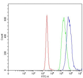 Flow cytometry testing of human Daudi cells with UBE2O antibody at 1ug/million cells (blocked with goat sera); Red=cells alone, Green=isotype control, Blue= UBE2O antibody.