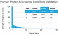 Analysis of HuProt(TM) microarray containing more than 19,000 full-length human proteins using BRCA-1 antibody (clone BRCA1/2973). These results demonstrate the foremost specificity of the BRCA1/2973 mAb. Z- and S- Score: The Z-score represents the strength of a signal that a monoclonal antibody (clone MAb) (in combination with a fluorescently-tagged anti-IgG secondary antibody) produces when binding to a particular protein on the HuProt(TM) array.