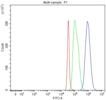 Flow cytometry testing of fixed and permeabilized human SH-SY5Y cells with PCDHA8 antibody at 1ug/million cells (blocked with goat sera); Red=cells alone, Green=isotype control, Blue= PCDHA8 antibody.