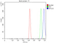 Flow Cytometry analysis of human HEL cells using anti-MYLK3 antibody. Overlay histogram showing HEL cells stained with (Blue line). To facilitate intracellular staining, cells were fixed with 4% paraformaldehyde and permeabilized with permeabilization buffer. The cells were blocked with 10% normal goat serum. And then incubated with rabbit anti-MYLK3 antibody (1 ug/million cells) for 30 min at 20oC.