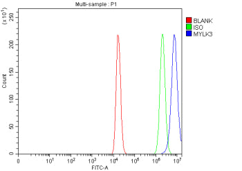Flow Cytometry analysis of human HEL cells using anti-MYLK3 antibody. Overlay histogram showing HEL cells stained with (Blue line). To facilitate intracellular staining, cells were fixed with 4% paraformaldehyde and permeabilized with permeabilization buffer. The cells were blocked with 10% normal goat serum. And then incubated with rabbit anti-MYLK3 antibody (1 ug/million cells) for 30 min at 20oC.