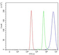 Flow cytometry testing of human U937 cells with Ancient ubiquitous protein 1 antibody at 1ug/million cells (blocked with goat sera); Red=cells alone, Green=isotype control, Blue= Ancient ubiquitous protein 1 antibody.