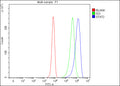 Flow Cytometry analysis of K562 cells using anti-STAT2 antibody. Overlay histogram showing K562 cells stained with (Blue line). To facilitate intracellular staining, cells were fixed with 4% paraformaldehyde and permeabilized with permeabilization buffer. The cells were blocked with 10% normal goat serum. And then incubated with rabbit anti-STAT2 antibody (1 ug/million cells) for 30 min at 20oC.