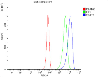 Flow Cytometry analysis of K562 cells using anti-STAT2 antibody. Overlay histogram showing K562 cells stained with (Blue line). To facilitate intracellular staining, cells were fixed with 4% paraformaldehyde and permeabilized with permeabilization buffer. The cells were blocked with 10% normal goat serum. And then incubated with rabbit anti-STAT2 antibody (1 ug/million cells) for 30 min at 20oC.